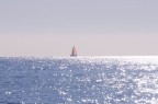 vela solitaria vela solitaria