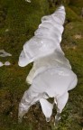 ice sculpture ice sculpture