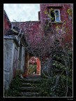 Aspetti di vita rurale