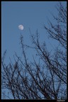 ...prendere la luna con un ramo...