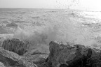 Mare di casa Mare di casa