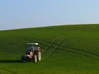 Quasi primavera Quasi primavera