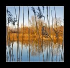 Ho imprigionato la natura