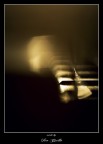 ...white line...#4 ...white line...#4