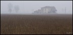Il Podere Il Podere
