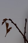 addio, volo via addio, volo via