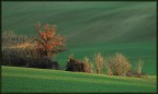 L'ultimo raggio L'ultimo raggio