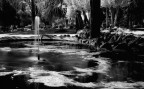 Stagno di Villa Celimontana Stagno di Villa Celimontana