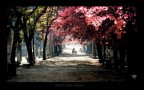 scampoli d'autunno scampoli d'autunno