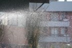 Acqua Acqua
