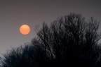 foggy sunset foggy sunset