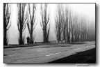 ::: LUNGO IL VIALE ALBERATO ::: ::: LUNGO IL VIALE ALBERATO :::