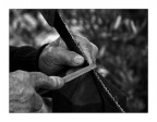 Esperienza Esperienza