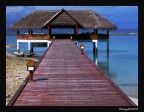 ....SEAHOME... ....SEAHOME...