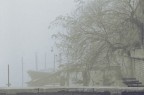 Nella nebbia 02 Nella nebbia 02