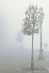Nella nebbia 01