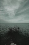 No-Where Sea No-Where Sea