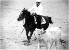 Rodeo Rodeo
