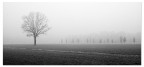 Solitudine Invernale Solitudine Invernale