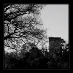 Tentacoli sulla rocca