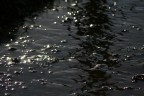 Il fiume oscuro..... Il fiume oscuro.....