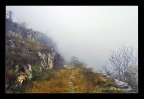Cosa troverò? Cosa troverò?