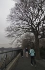 Jogging in Central Park