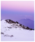 Nebbia Nebbia