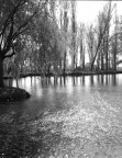 Fonti del Clitunno Fonti del Clitunno