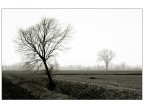 inverno inverno