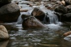 il ruscello........... il ruscello...........