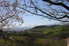 Prime cornici primaverili Prime cornici primaverili