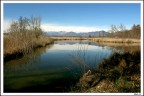 Palude Brabbia2 Palude Brabbia2