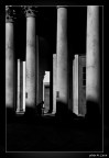 man between columns
