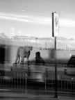 Un leopardo tra le montagne... Un leopardo tra le montagne...