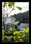 Primavera all'imbarcadero Primavera all'imbarcadero