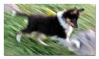...blurry... ...blurry...