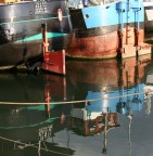 riflesso sulla senna