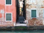 In mezzo In mezzo