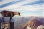 In cima al mondo... In cima al mondo...