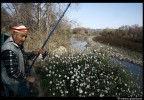 Il pescatore perplesso Il pescatore perplesso