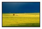 ...landscape... ...landscape...