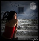 moonlight moonlight