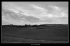 ... Semplicemente in Campagna ..... ... Semplicemente in Campagna .....