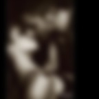 The Passion of Lovers...