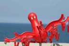 Octopus in Bari Octopus in Bari