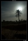 african sun
