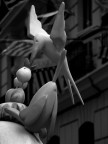Un uccello "speciale" Un uccello "speciale"