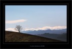 A sweet little loneliness... between Earth and Sky A sweet little loneliness... between Earth and Sky