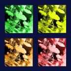 AsterWarhol AsterWarhol
